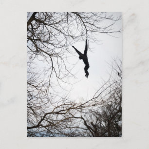 Affenschwingen Postkarte