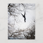 Affenschwingen Postkarte (Vorderseite)