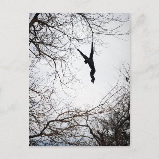 Affenschwingen Postkarte (Vorderseite)