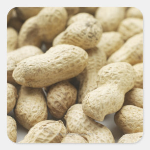 Affenüsse Quadratischer Aufkleber