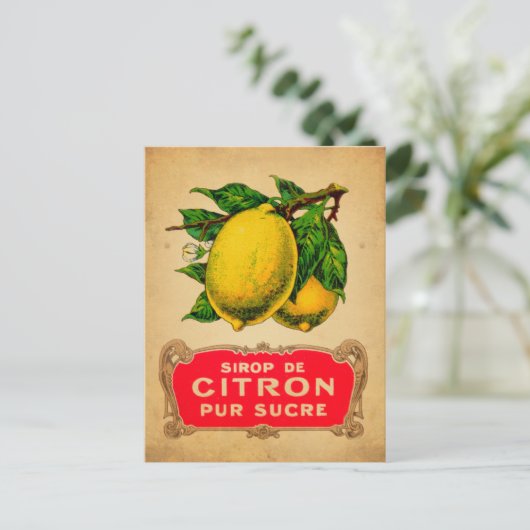 Affiche citron, Zitrone, Obst, Zitrusfrüchte, grün Postkarte (Stehend Vorderseite)