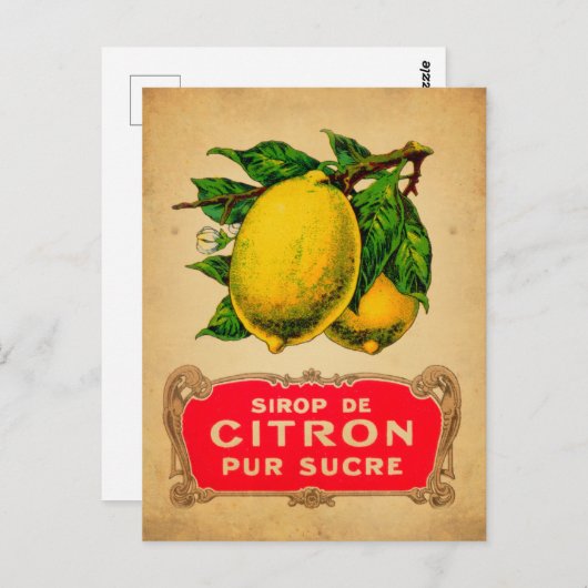 Affiche citron, Zitrone, Obst, Zitrusfrüchte, grün Postkarte (Vorne/Hinten)