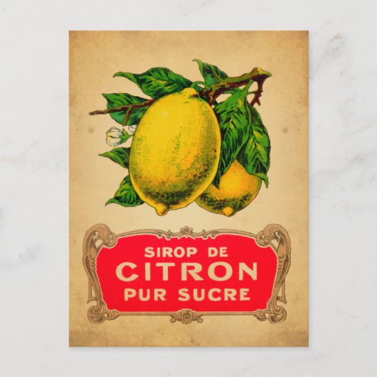 Affiche citron, Zitrone, Obst, Zitrusfrüchte, grün Postkarte (Vorderseite)
