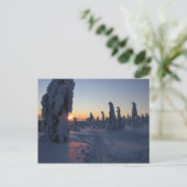 Affiche Couché de soleil sur la forêt en Laponie Postkarte (Stehend Vorderseite)