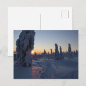 Affiche Couché de soleil sur la forêt en Laponie Postkarte (Vorne/Hinten)
