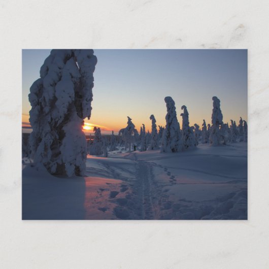 Affiche Couché de soleil sur la forêt en Laponie Postkarte (Vorderseite)