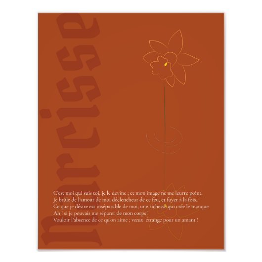 Affiche Narcisse Fotodruck (Vorne)