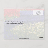 Affodien, Hyazinthen und Tulpen Postkarte (Rückseite)