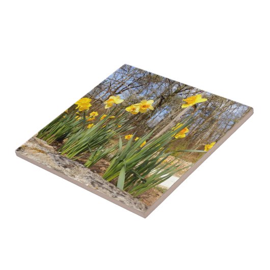 Affodien in OsterKeramik Foto Tile Fliese (Seite)