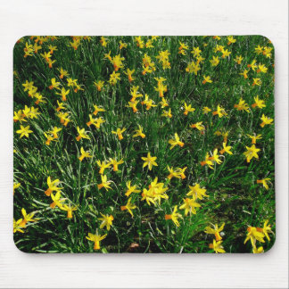 Affodien/Narzisse Mousepad