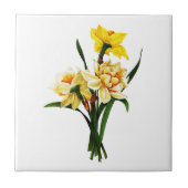 Affodien oder Narzisse von Pierre Joseph Redoute Fliese (Vorderseite)