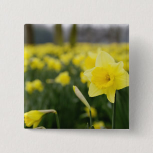 Affodien (RF) Button