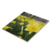 Affodien (RF) Fliese (Seite)