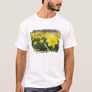 Affodien (RF) T-Shirt
