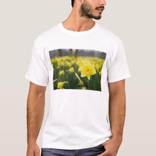 Affodien (RF) T-Shirt (Vorderseite)