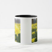 Affodien (RF) Tasse (Zentrum)