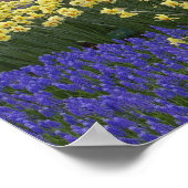 Affodien, Traubenhyakinth und Tulpengarten, Poster (Ecke)