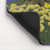 Affodien, Traubenhyazinthen und Tulpengarten, Mousepad (Ecke)