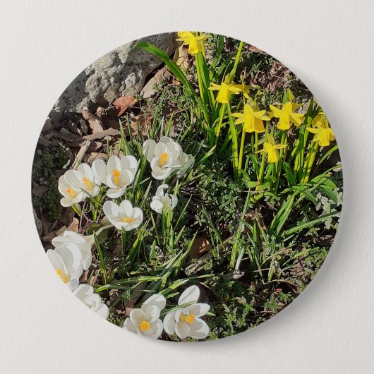Affodien und Crocus Abzeichen Button (Vorderseite)