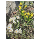 Affodien und Crocus Klemmbrett (Rückseite)