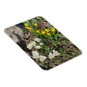 Affodien und Crocus Magnet (Rechte Seite)