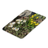 Affodien und Crocus Magnet (Linke Seite)