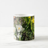 Affodien und Crocus Tasse (Mittel)