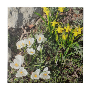 Affodien und Keramik Crocus Fliese