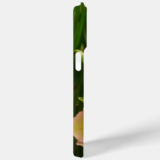 Affodien und Lenten-Rose farbenfroh Case-Mate iPhone Hülle (Rückseite / Rechts)