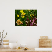 Affodien und Lenten-Rose farbenfroh Poster (Küche)