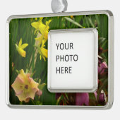 Affodien und Lenten-Rose farbenfroh Rahmen-Ornament Silber (Links)