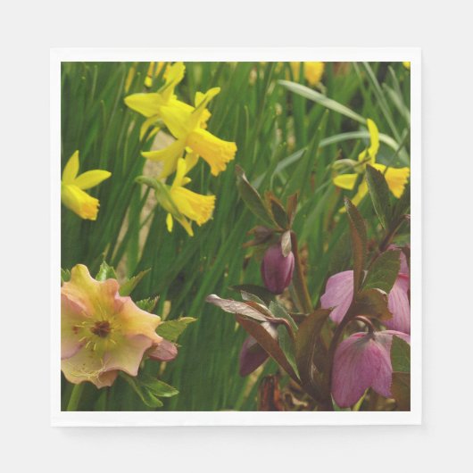 Affodien und Lenten-Rose farbenfroh Serviette (Vorderseite)