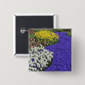 Affodien und Traubenzucker, Keukenhof 2 Button (Vorne & Hinten)