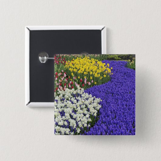 Affodien und Traubenzucker, Keukenhof 2 Button (Vorne & Hinten)