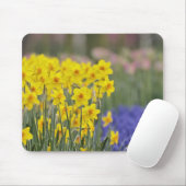 Affodien und Traubenzucker, Keukenhof Mousepad (Mit Mouse)