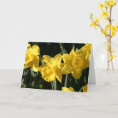 Affodil 023 karte (Gelbe Blume)