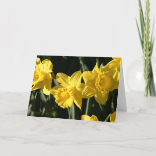 Affodil 023 karte