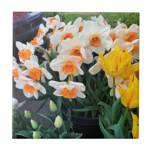 Affodils & Tulips, Oregon Fliese (Vorderseite)