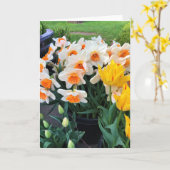 Affodils & Tulips, Oregon Karte (Gelbe Blume)