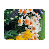 Affodils & Tulips, Oregon Magnet (Horizontal)