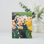 Affodils & Tulips, Oregon Postkarte (Stehend Vorderseite)