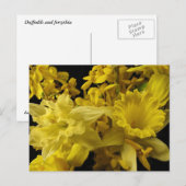 Affodils und Forsythia Postkarte (Vorne/Hinten)