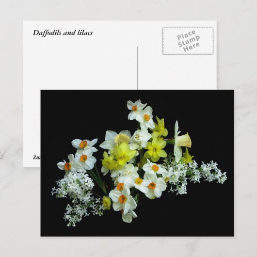 Affodis und Lilacs Postkarte (Vorne/Hinten)