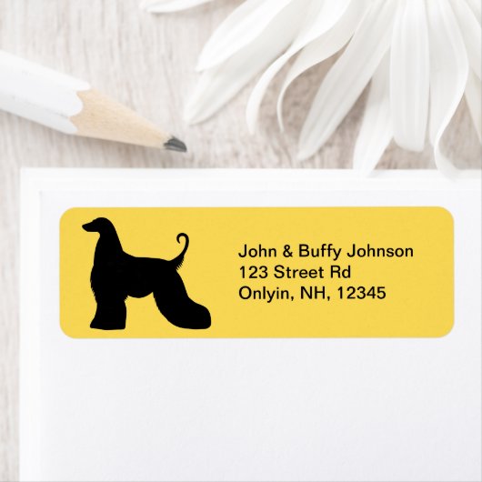 Afghan Hound (Insitu)