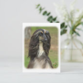 Afghan Hound 9J31D-06 Postkarte (Stehend Vorderseite)