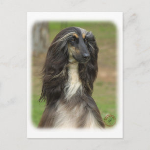 Afghan Hound 9J31D-06 Postkarte
