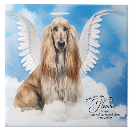 Afghan Hound Angel Dog Personalisiertes Haustier M Fliese (Vorderseite)