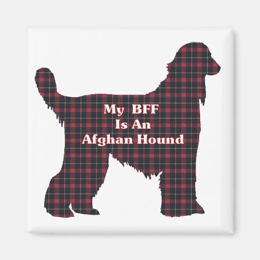 AFGHAN HOUND BESTE FREUNDIN MAGNET (Vorne)