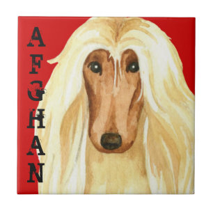 Afghan Hound Color Block Fliese