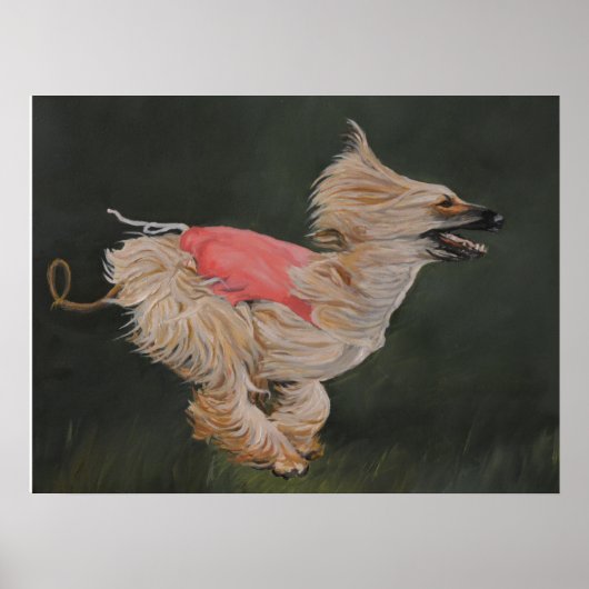 Afghan Hound Coursing Reproduction Poster Art (Vorne)